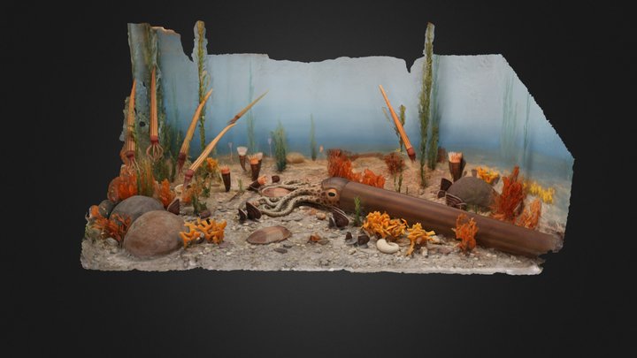 Diorama of Ordovician Shallow Sea Life – Free 3D Model STL