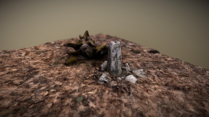 Grenzstein im Wald 3D Model