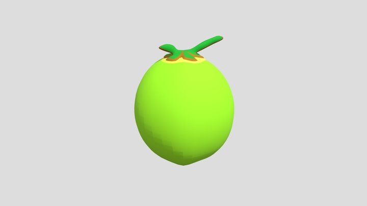 COCONUT 3D Model