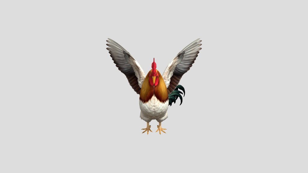 Majestic Rooster, V1
