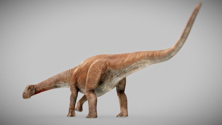 Nigersaurus 3D Model