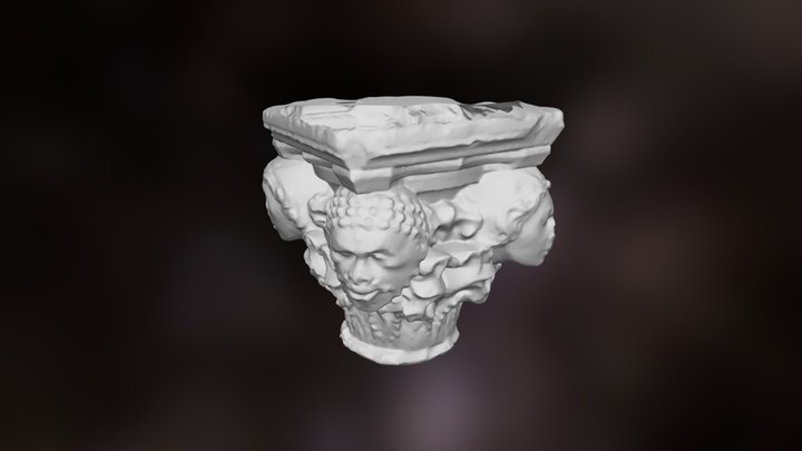 CAPITELLO 4 RAZZE 3D Model