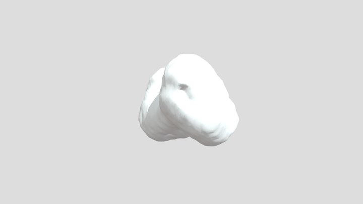 Scaphoid 3D Model