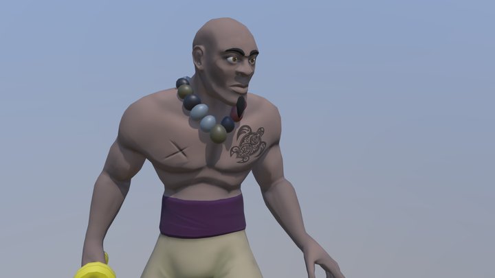 Stylized Pirate 3D Model