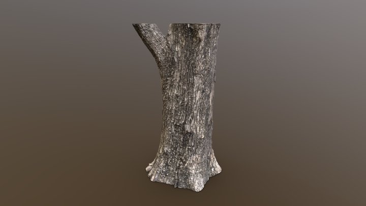 Nanjing Cypress - Retopologized – Modèle 3D gratuit STL