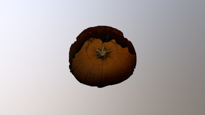 Halloween Pumpkin (Photogrammetry) 3D Model