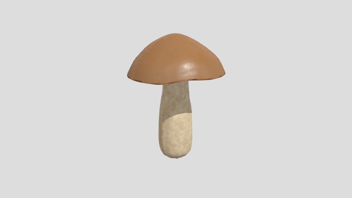mushroom 3D Model