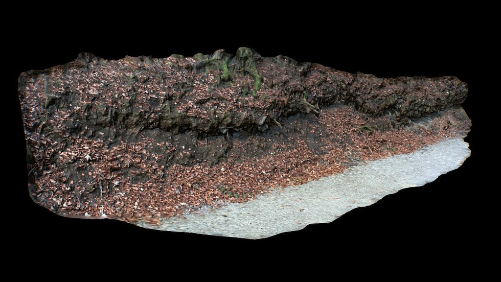 Scanned Forest Road Section