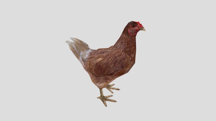 chicken – Kostenloses 3D-Modell STL