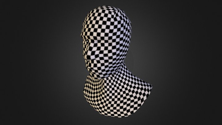 Ref Head Retopology 3D Model