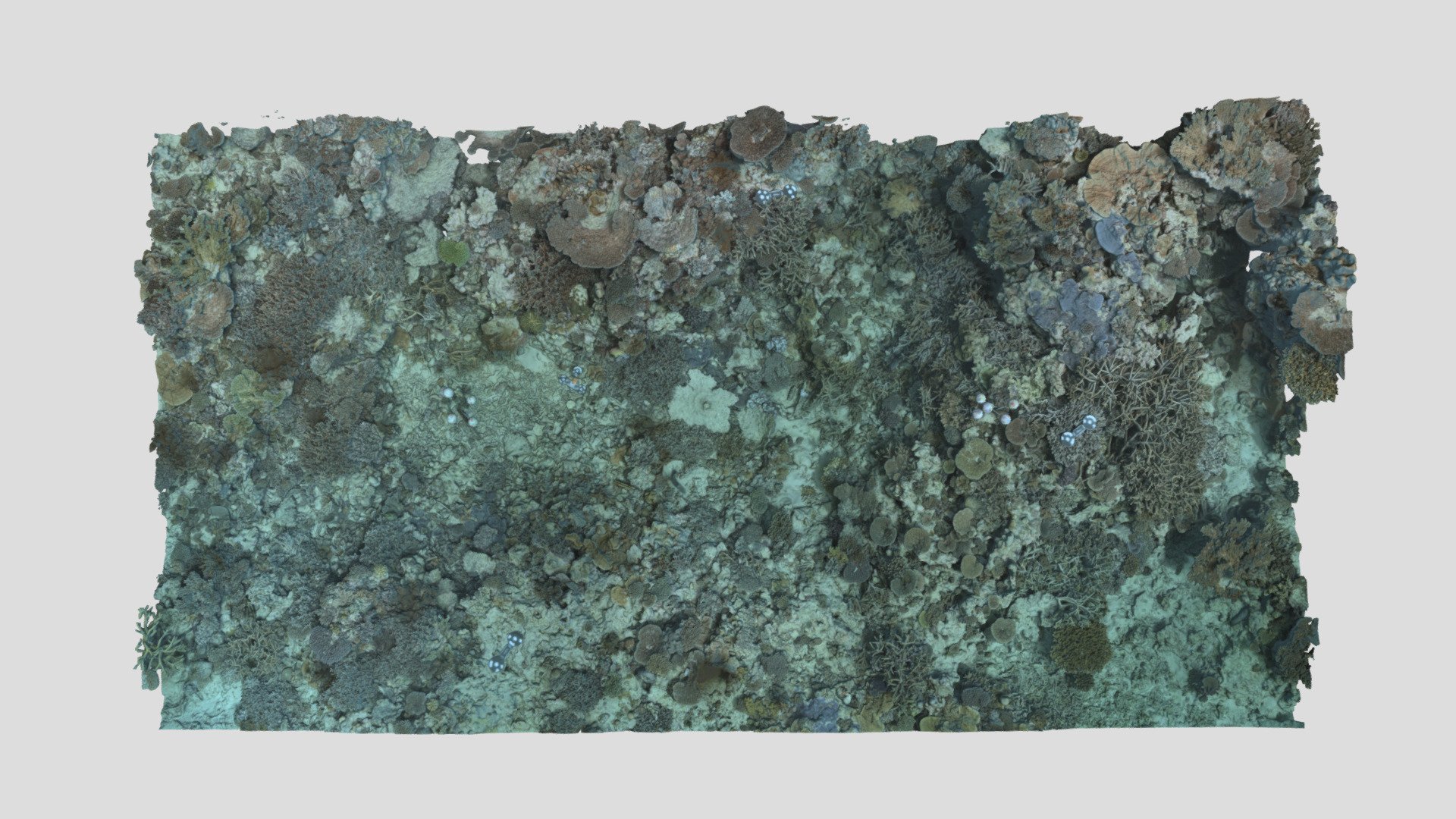 Heron_BA2S_P4_202305 - Download Free 3D model by EcoRRAP (@AIMSEcoRRAP ...
