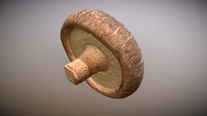Shiitakes 3D Model
