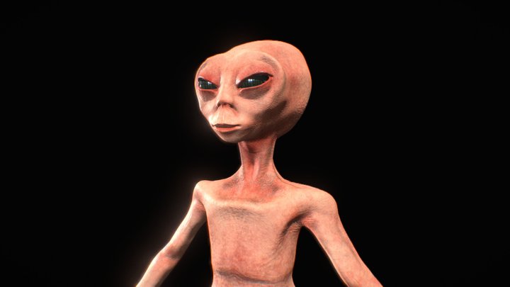 Realistic Alien (Grey) Mid Poli 3D Model