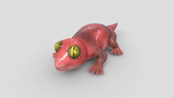 The Lizard 3D Model