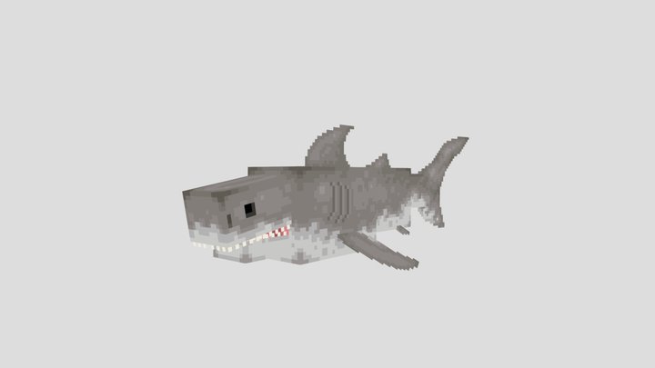 Great White Shark 3D Model