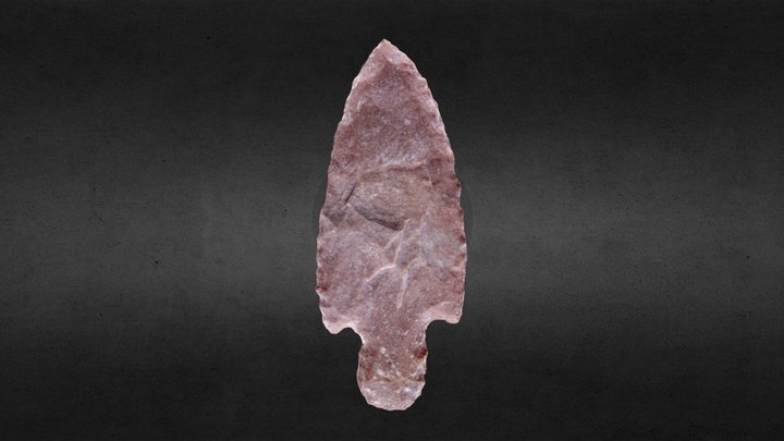 Tigre Projectile Point 3D Model