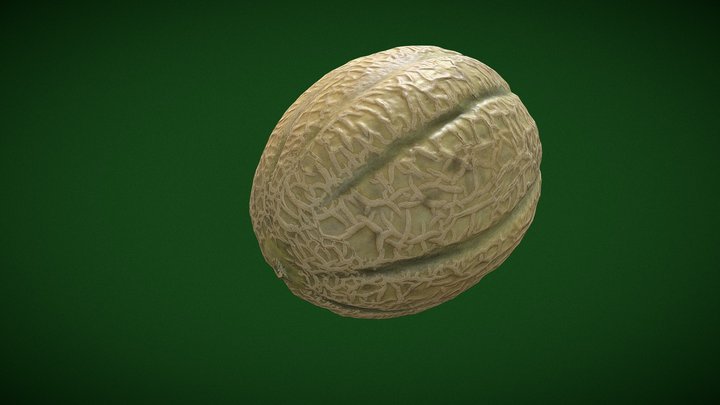 Photogrammetry Melon 3D Model