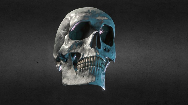 skull practice 3D Model