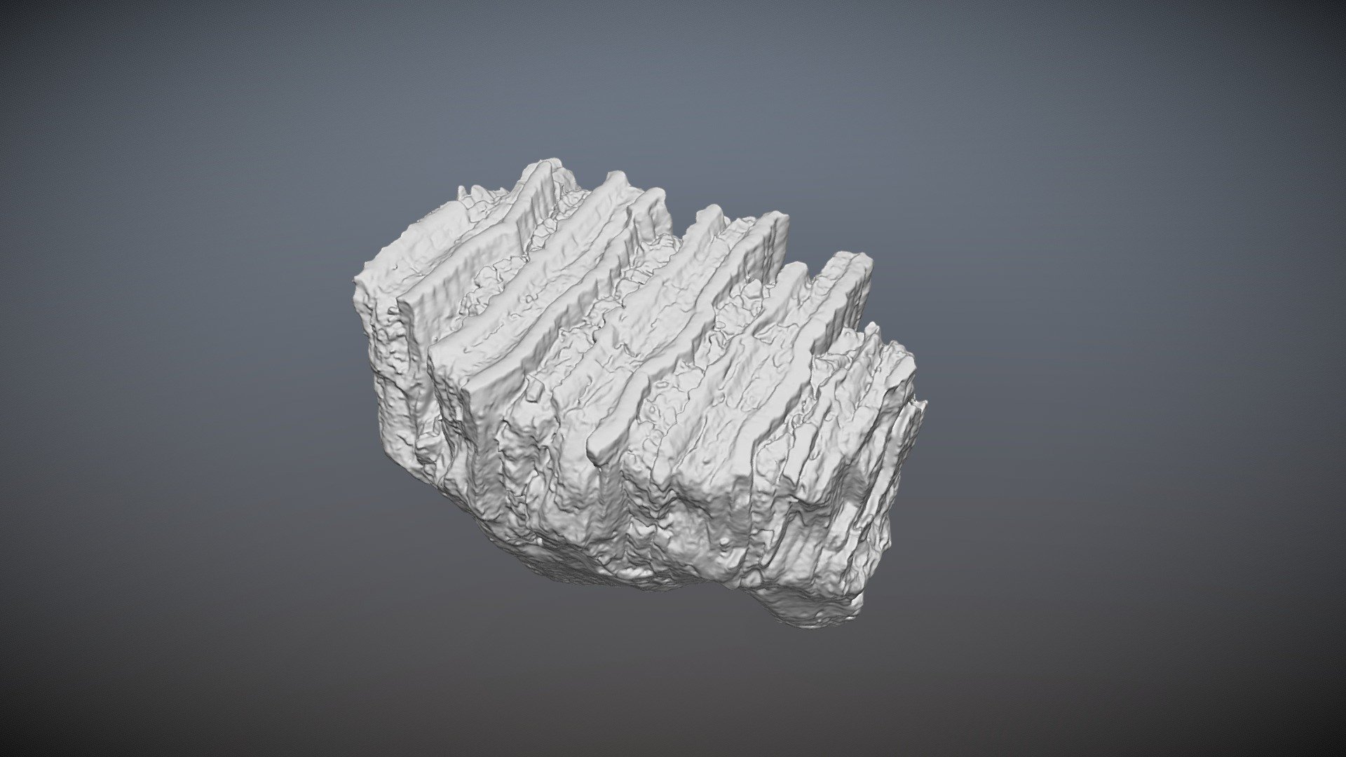 Columbian Mammoth Moldar (VCU_3D_2172)