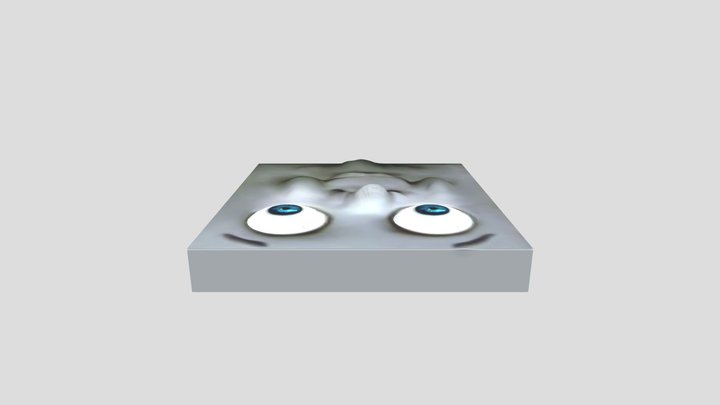 Toby's face 3D Model