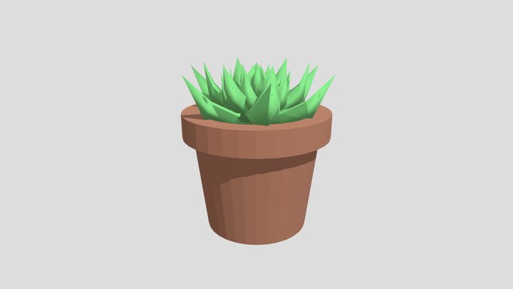 Small Succulent 3D Model