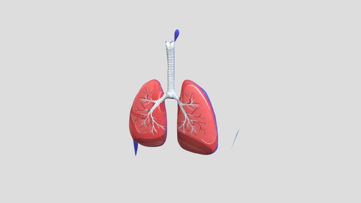 Untitled 3D Model