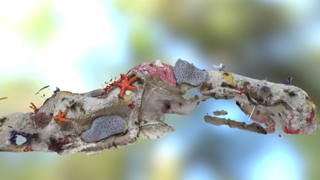 Foam reef ledge 3D Model