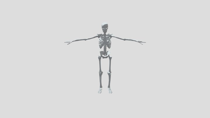 Is a skeleton only | follow @GB BrownCat 3D Model