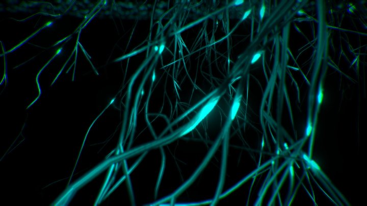 Natural Connection 3D Model