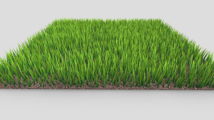 Patch of Grass