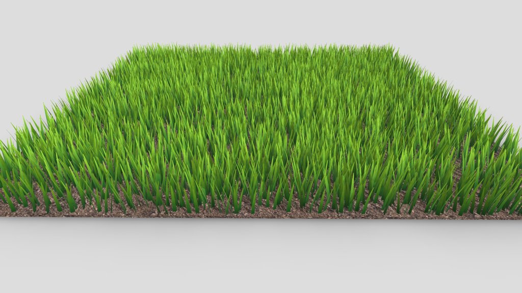 Patch of Grass