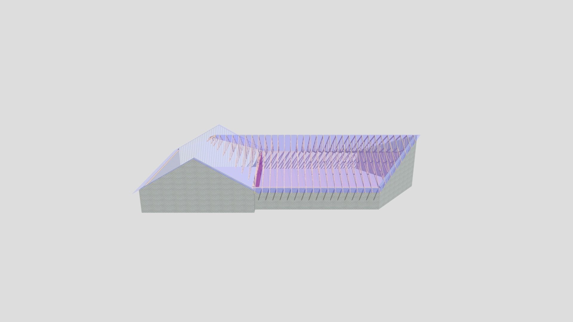 C20456