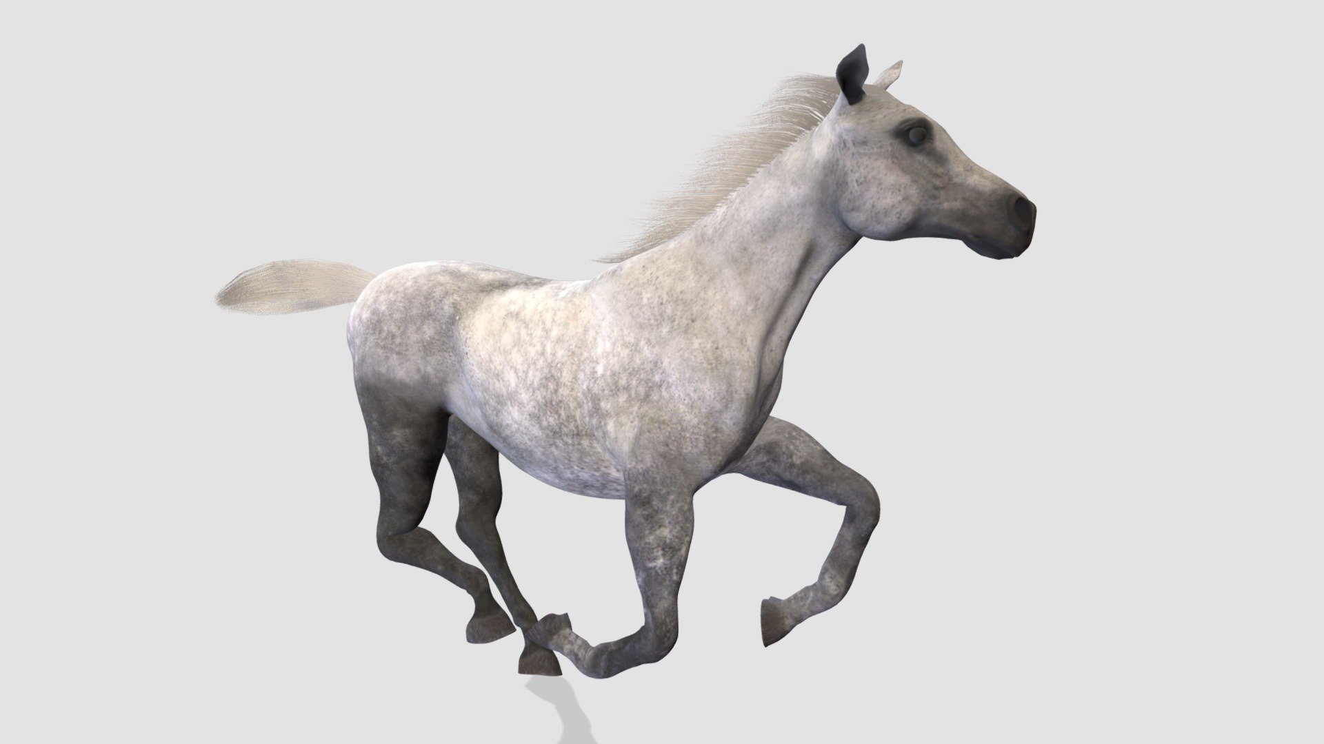 Horse - Buy Royalty Free 3d Model By Evermotion [74ddbae] - Sketchfab Store