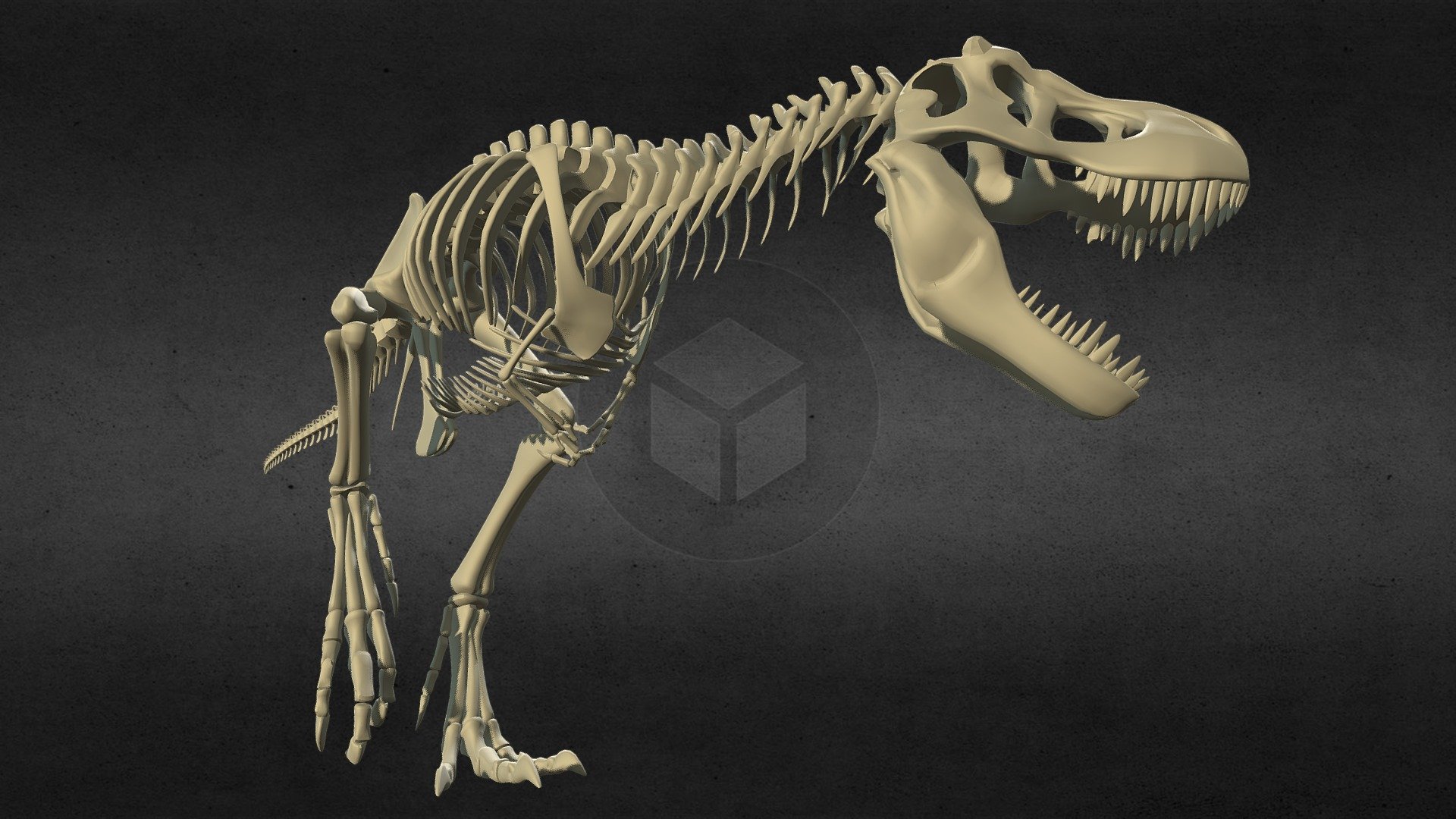 Tyrannosaurus rex dragon bone - 3D model by llllline ...