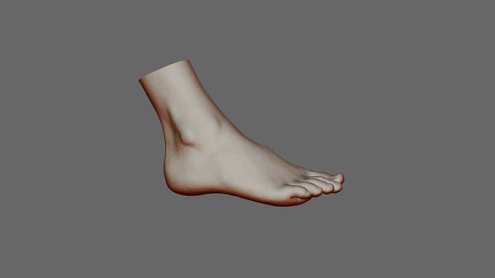 Artec Eva : Foot 3D Model