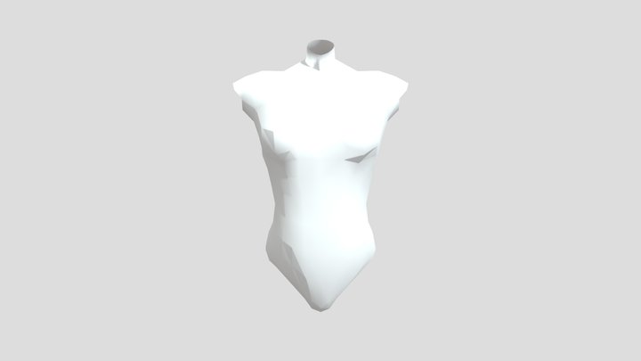 Torso Practice 3D Model