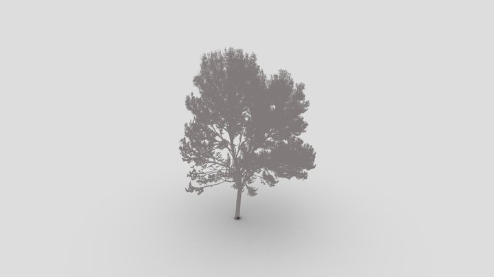 Red Oak at Overgate 3D Model