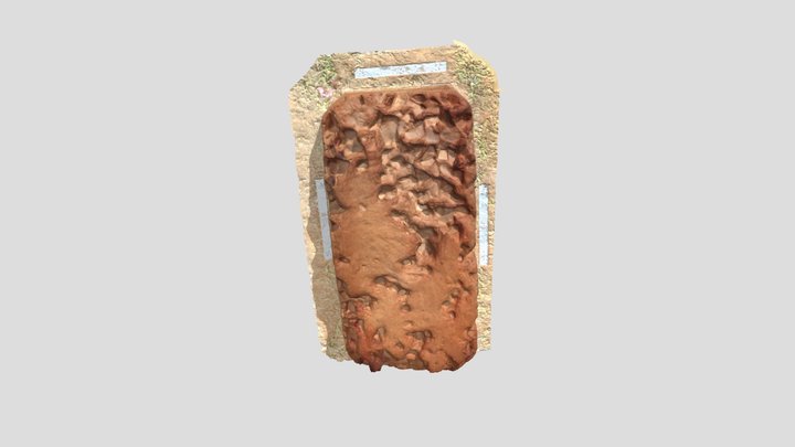 FCR Feature 3D Model