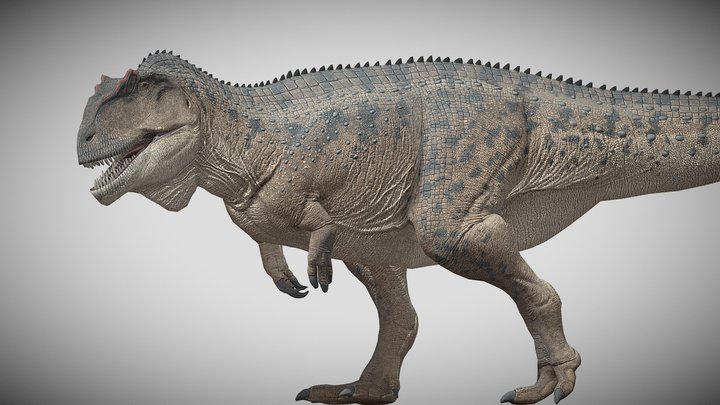 Giganotosaurus carolinii – Kostenloses 3D-Modell STL