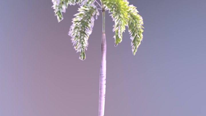 Palm tree sprite 3D Model