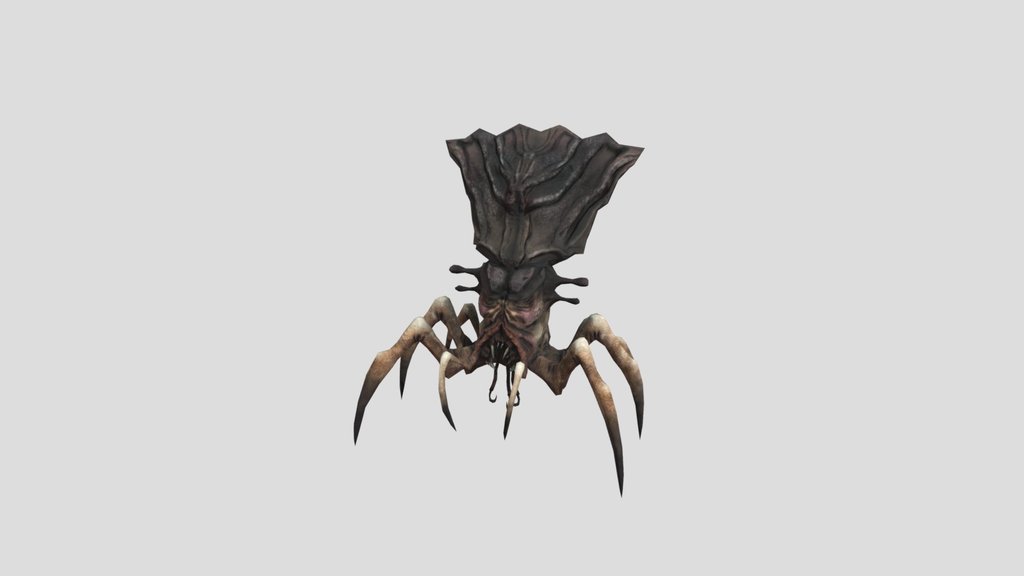 Arachnid