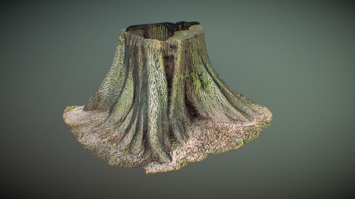 Tree 9 3D Model