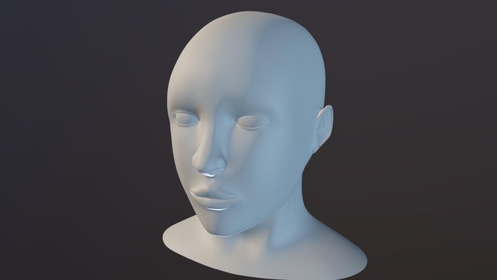 Head 3D Model
