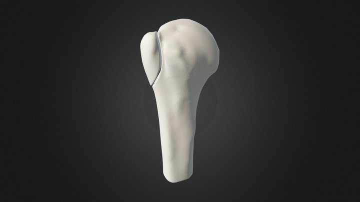 Clean 3D Model 3D Model