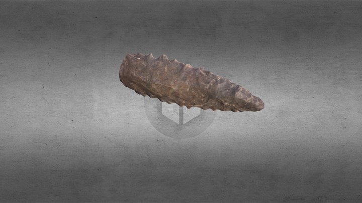 Narrow Point 2 (Post CHI) 3D Model