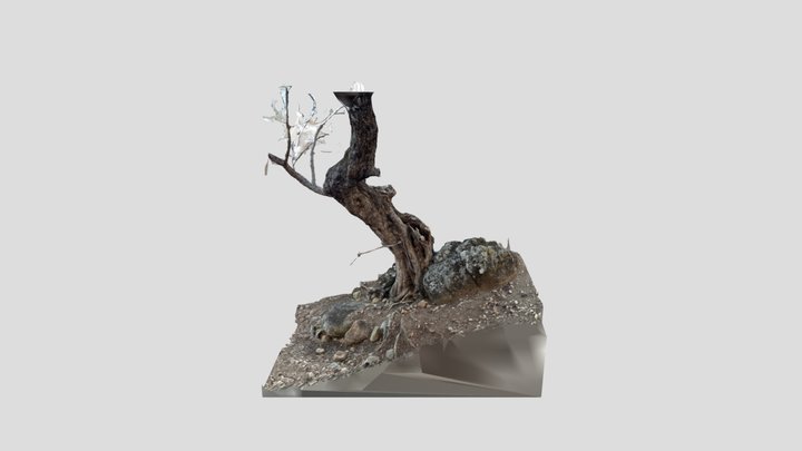 Tree Trunk 002 3D Model
