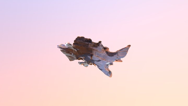 Henry in desert 3D Model