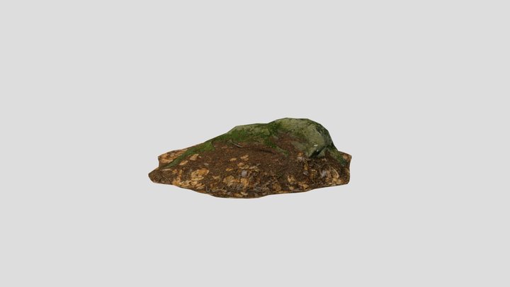 Rock0001 3D Model