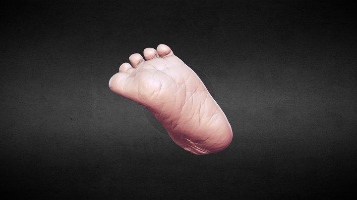 Baby's Foot 3D Model
