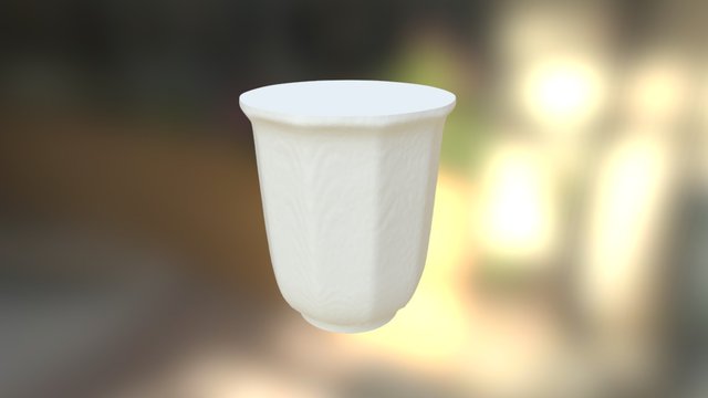 Cupscan-soujanyareddy 3D Model